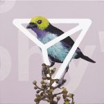 SocialAnimalsArtImage Student Artwork