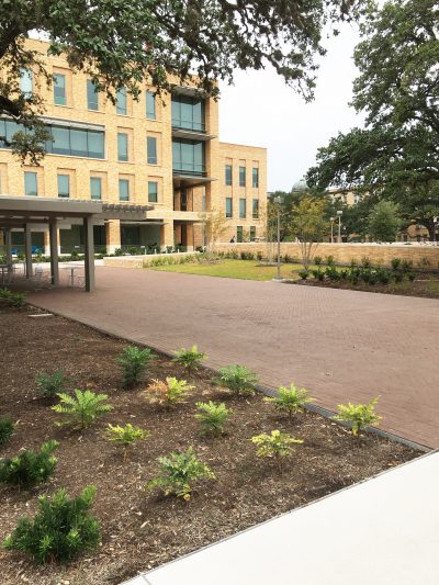 Photograph looking toward Reveille Memorial gravesite and the Memorial Student Center