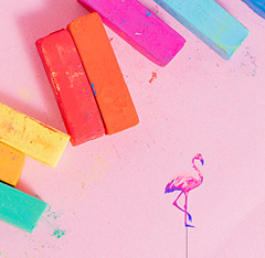 Pastel chalks and line drawing of a flamingo